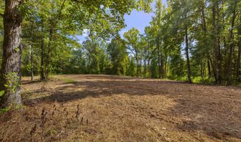 2233 Holloman Rd, Bentonia, MS 39040
