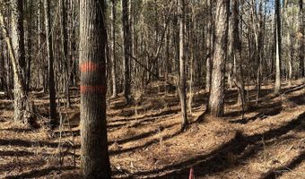 Lot 37 PETERSBURG Trace, Lincolnton, GA 30817
