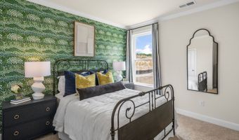 5298 Jessie Dr Plan: NORMAN, Apex, NC 27539