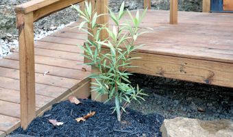 576 Pine Grove Rd, Beattyville, KY 41311