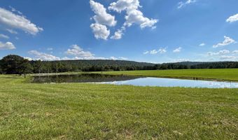 6150 SHOAL CREEK Rd 124+/- Acres, Ashville, AL 35953