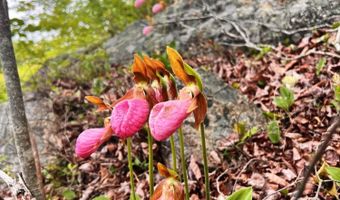 W McMann & Porcupine Hill Road lot 3, Addison, ME 04606
