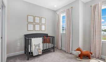 329 CALVANDER Ln, Apex, NC 27539