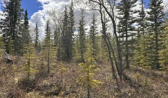 B005 Packsaddle Road, Chickaloon, AK 99674
