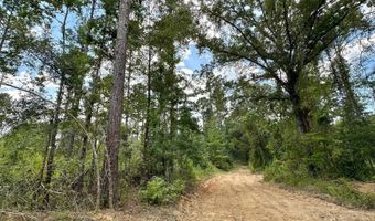 1 Prentiss Crump Rd, Terry, MS 39170