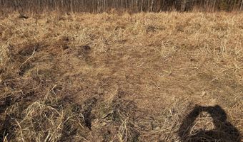 BLACK SWAMP ROAD, Felton, DE 19943