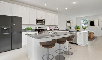 2310 White Buffalo St, Apopka, FL 32703