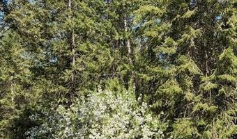 1639 W Hillsdale Rd, Athol, ID 83801