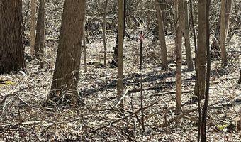 5725 Whitneyville Ave SE, Alto, MI 49302