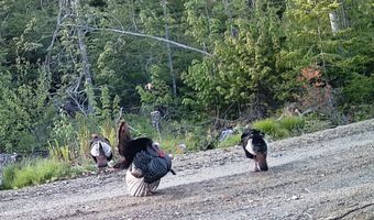 W McMann & Porcupine Hill Road lot 3, Addison, ME 04606