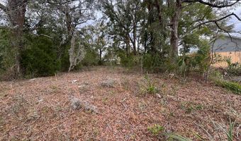 3543 Durden Ave, Bell, FL 32619