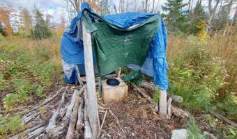 91 Greenleaf Brook Rd, Amity, ME 04730