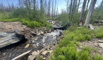2493 Greer Rd, Bellvue, CO 80512