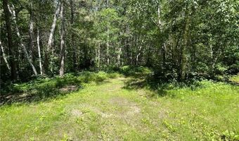 951 Swede Lake Trl SW, Backus, MN 56435