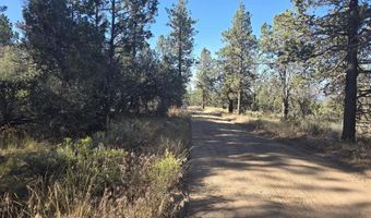 Night Owl Drive 26, Bonanza, OR 97623