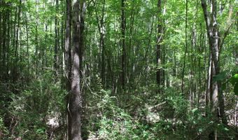 00 Pinola Braxton Rd, Braxton, MS 39044