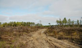 US Hwy 98, Beaumont, MS 39423