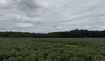 Sr 1932 Off, Aurora, NC 27806