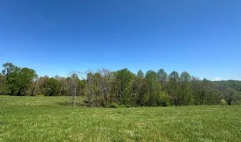 H O Allison lot 9, Baxter, TN 38544