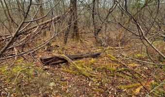0 Ryan Rd, Baileyville, ME 04694