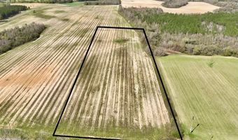 15 Acres Antioch Church Rd, Ashford, AL 36312
