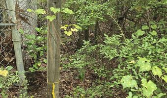 Cleora Murray Drive lot 9 & 10, Aiken, SC 29801