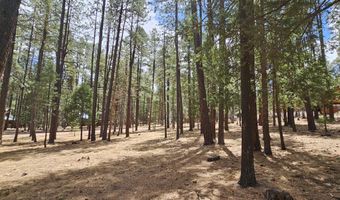 15 County Road 2065, Alpine, AZ 85920