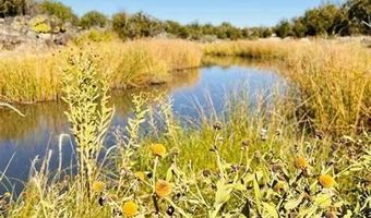 345 CR N3540, Concho, AZ 85924