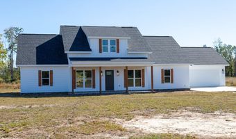 4419 Altamaha School Rd, Baxley, GA 31513