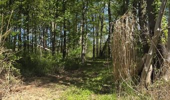 15252 27 Mile Rd, Albion, MI 49224