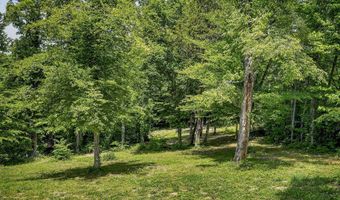 278 Pleasant Hill Rd, Allons, TN 38541