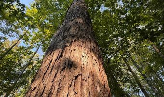 0 Military Rd, Beaverton, AL 35544