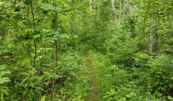 99999 Old NC 20 Hwy Tract C, Alexander, NC 28701