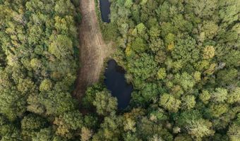 0 Co Rd 53, Abbeville, AL 36319