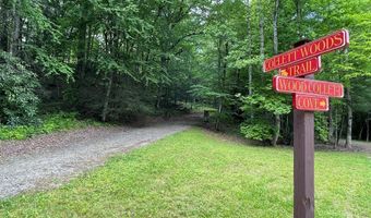 21 Collett Woods Trl Lot #21, Andrews, NC 28901