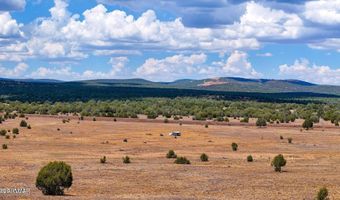 215 Gleed Station Rd Lot B 10 Acre, Ash Fork, AZ 86320