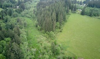 NE 389th St, Amboy, WA 98601