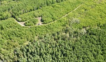 CR 557 40 Road, Arnold, MI 49819