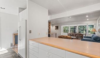 100 N 8th Street 24, Aspen, CO 81611