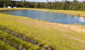 1054 Penny Morris Rd, Baxley, GA 31513