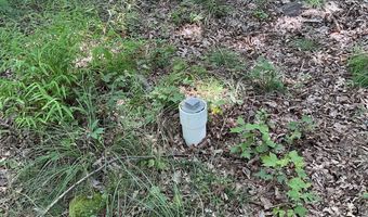 624 MOUNTAIN LION Ln, Augusta, WV 26704