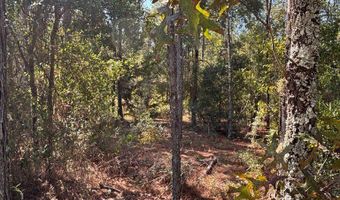 Lot 10 16th Ave, Bell, FL 32619