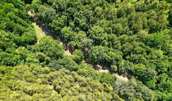 2926 Bryant Ridge Rd, Baxter, TN 38544