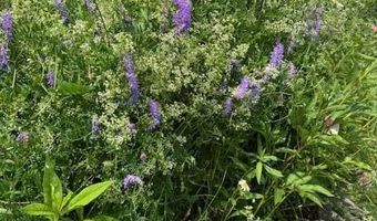 45 Freedom Rd, Belgrade, ME 04917