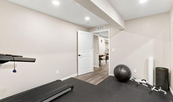 354 Gila Trl, Ault, CO 80610