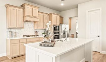 2017 Amber Gate Dr, Anna, TX 75409