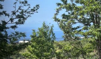92-8424 KING KAMEHAMEHA Blvd, Ocean View, HI 96737