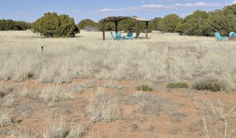 12 County Rd N8543, Concho, AZ 85924