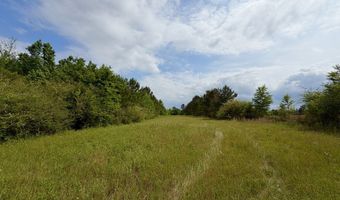 Fowler Road, Ashford, AL 36312
