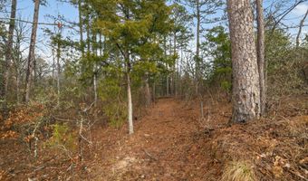 868 County Road 2920, Alba, TX 75410